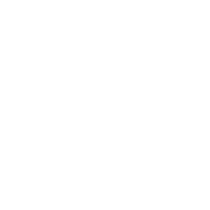 Fink Partner Zeitarbeitsoftware Individualsoftware Firmen Logo weiß
